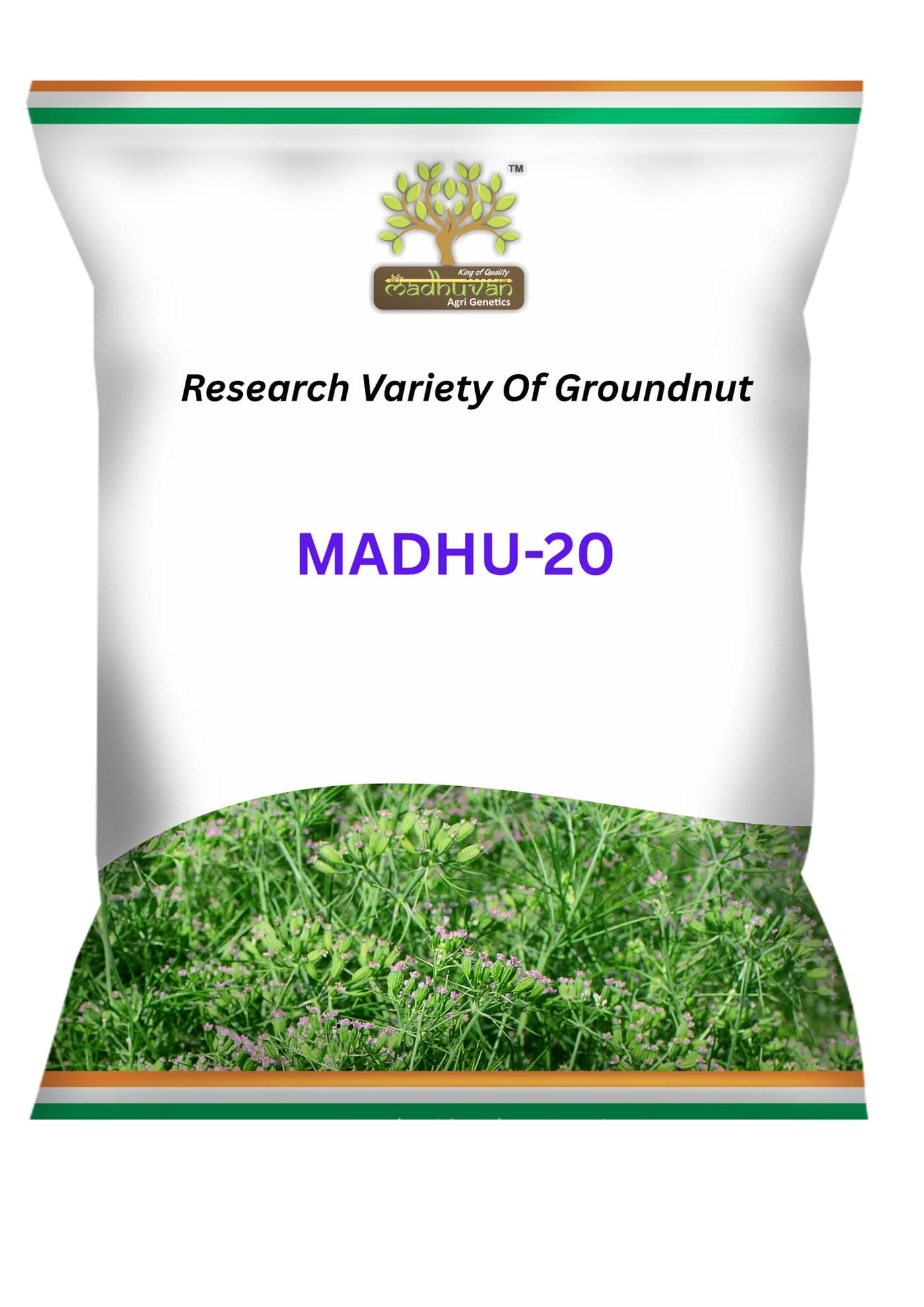 Madhu-20