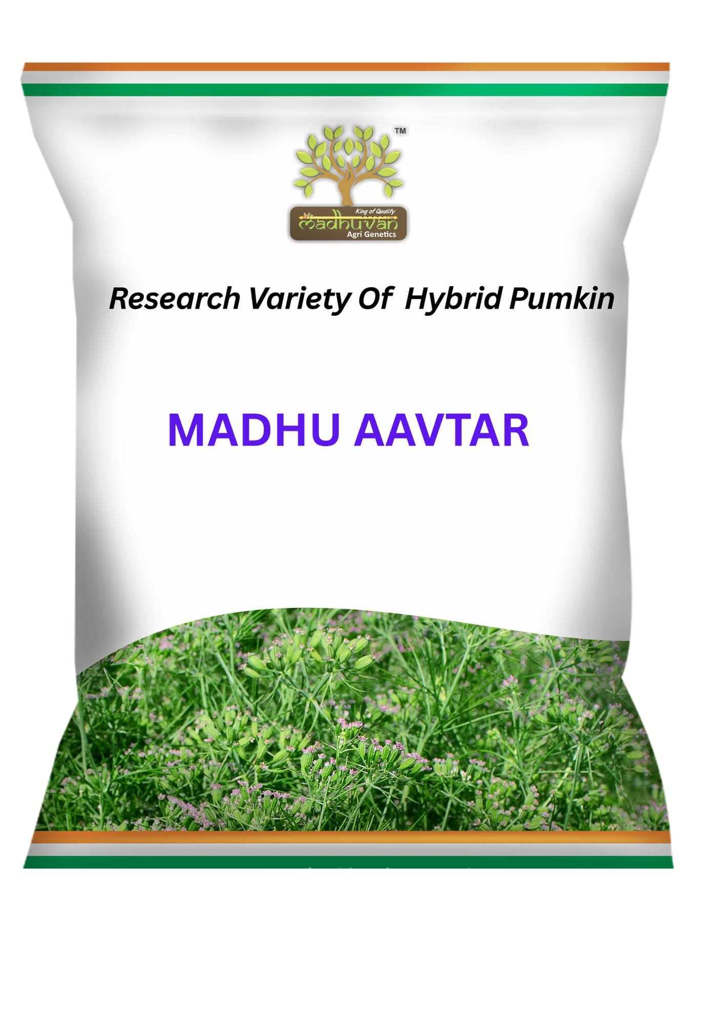 Madhu Aavtar