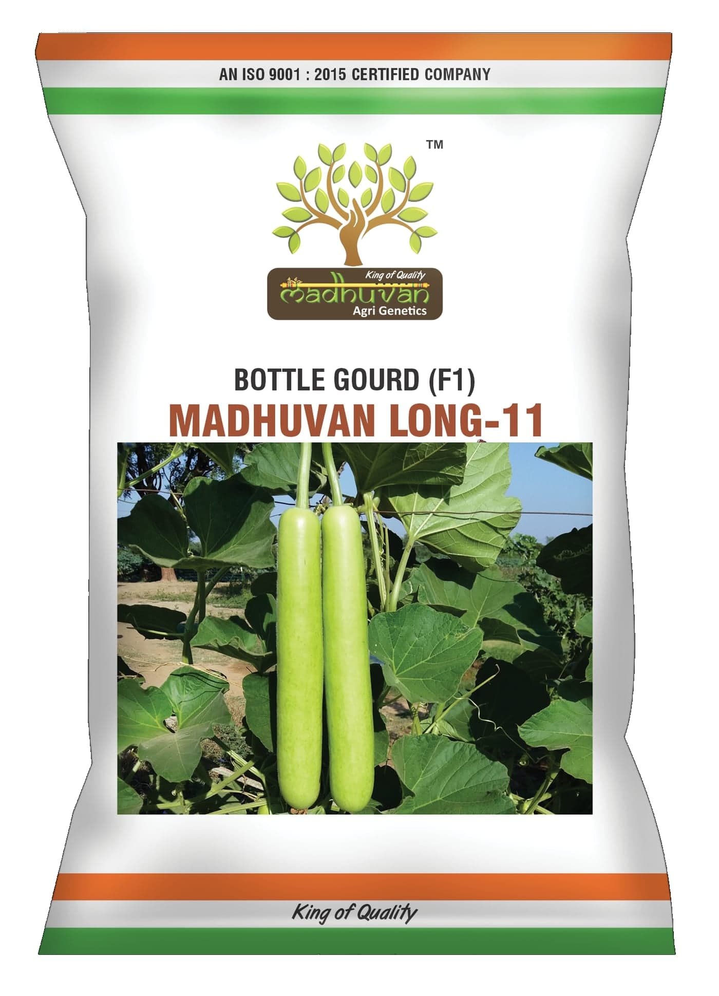 Madhu Long-11