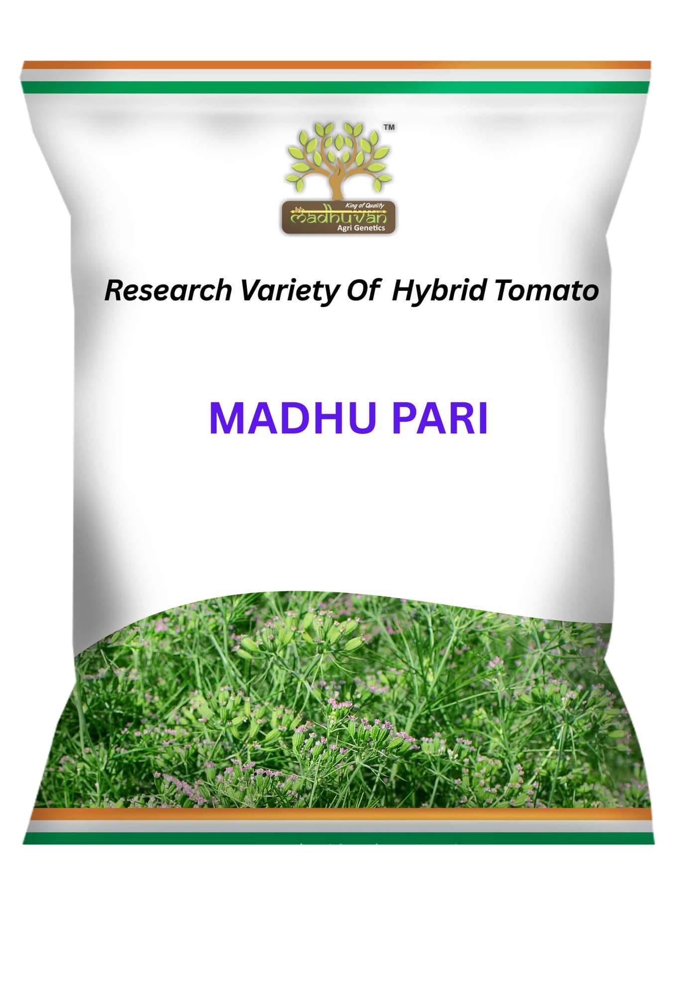 Madhu Pari