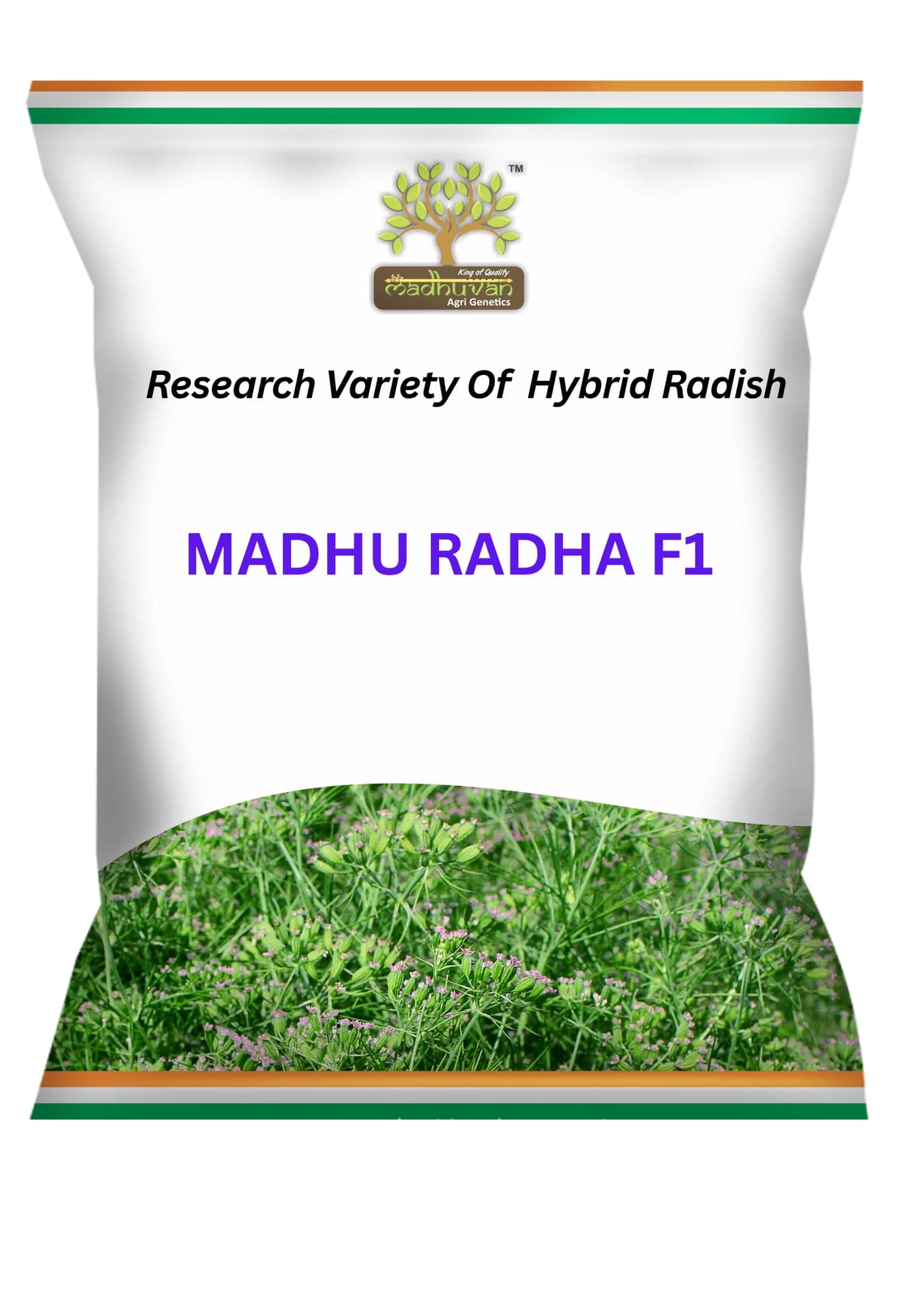 Madhu Radha (Hy.)