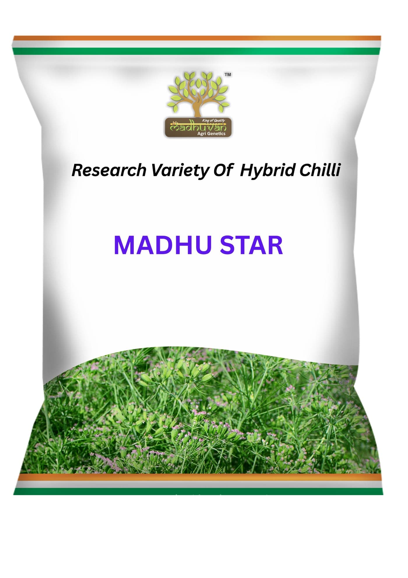 Madhu Star