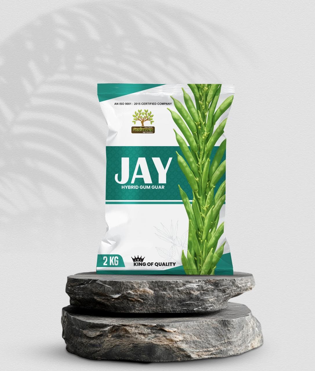 Madhu Jay