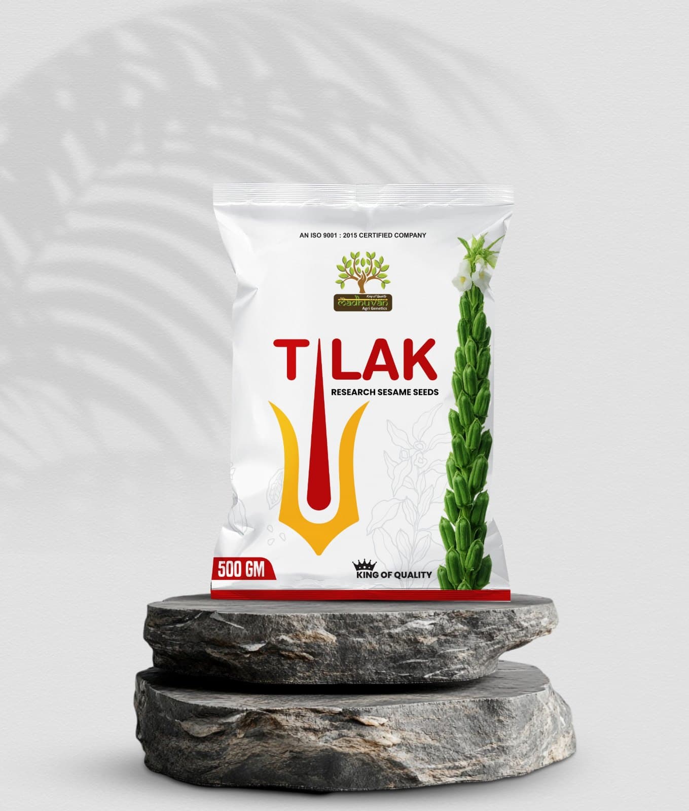 Madhu Tilak
