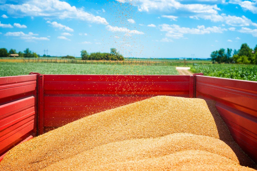 Grain harvest representing a wider product range